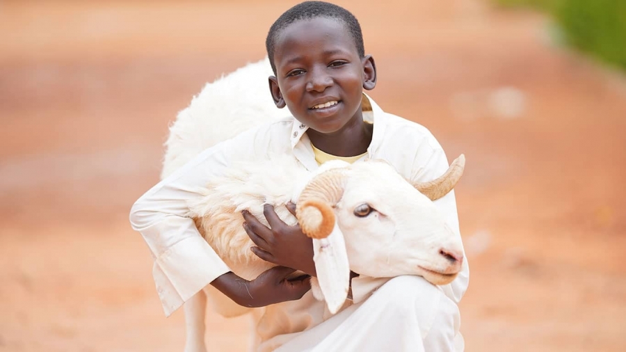 Kurban Organizasyonu